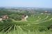 29.07-02.08.2004_Obersasbach_039.jpg (37126 Bytes)