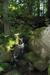 29.07-02.08.2004_Obersasbach_042.jpg (41102 Bytes)