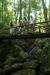 29.07-02.08.2004_Obersasbach_045.jpg (44658 Bytes)