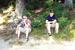 29.07-02.08.2004_Obersasbach_127.jpg (49404 Bytes)