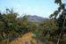 29.07-02.08.2004_Obersasbach_145.jpg (43932 Bytes)